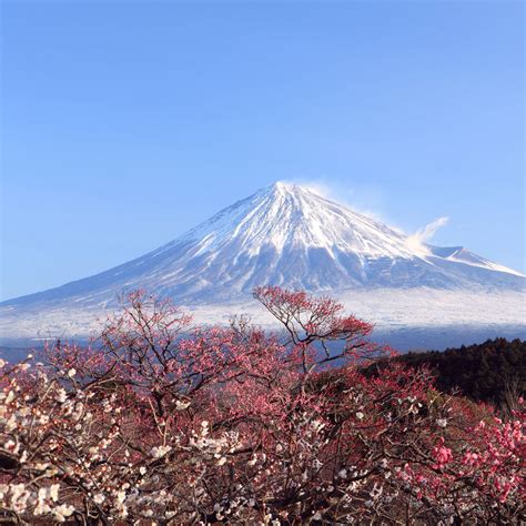 Mount Fuji Wallpapers - Wallpaper Cave