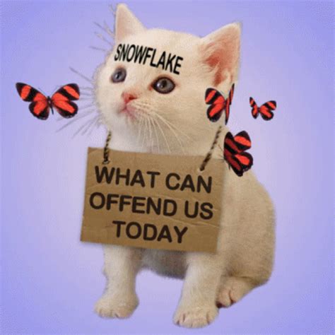 Snowflake What Can Offend Us GIF - Snowflake What Can Offend Us White Kitten - Discover & Share GIFs