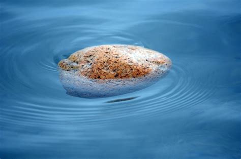 Floating Rocks of Katmai Alaska