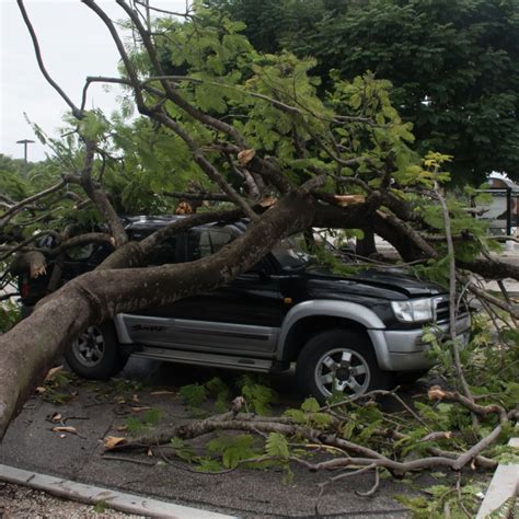 Dominican Republic Issues Weather Alert For Punta Cana As Tropical Storm Fiona Approaches ...