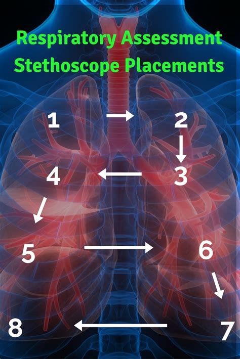 Your Ultimate Guide to the Nursing Respiratory Assessment + a FREE Cheat Sheet | Assessment ...