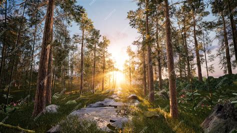 Premium Photo | Sunrise in the forest path with beautiful sun ray