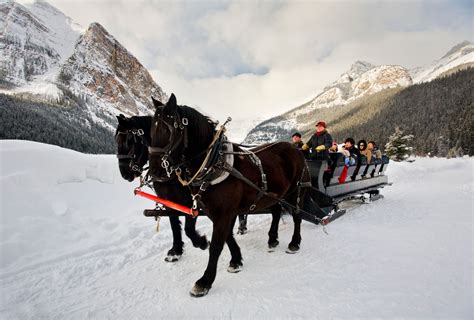 Winter Sleigh Rides — Brewster Adventures