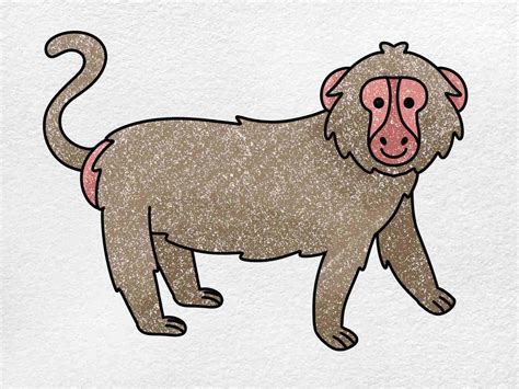 How to Draw a Baboon - HelloArtsy