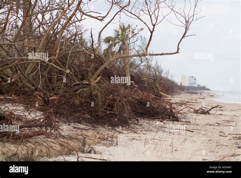 Hurricane Jeanne storm surge damage to beach dune Hutchinson Island ...