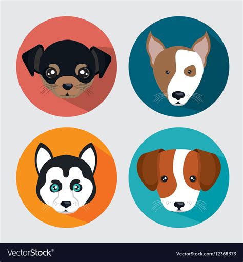 Cute set puppy pet icons design Royalty Free Vector Image