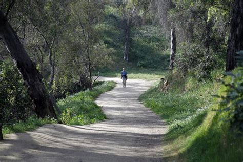 Follow the winding path at Elysian Park - Los Angeles Times