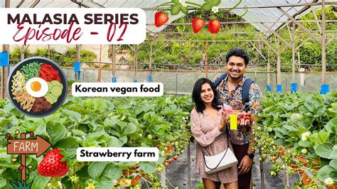 Trying Korean vegan food🍜 Plucking Strawberries 🍓from தோட்டம் Tamil couple 🔥 in Cameron ...