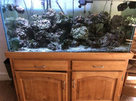 Setup of 90 gallon Tank | REEF2REEF Saltwater and Reef Aquarium Forum