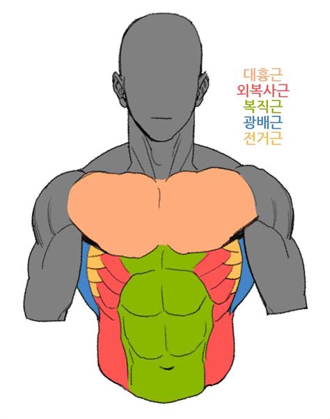 Muscular Male Anime Body Reference - Yashuhiro Wallpaper