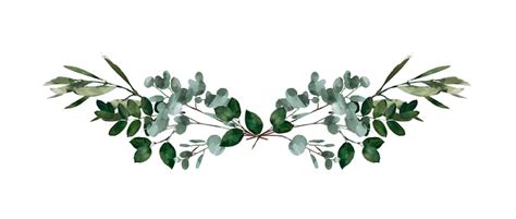 Watercolor Modern Decorative Element Eucalyptus Round Green Leaf Wreath ...