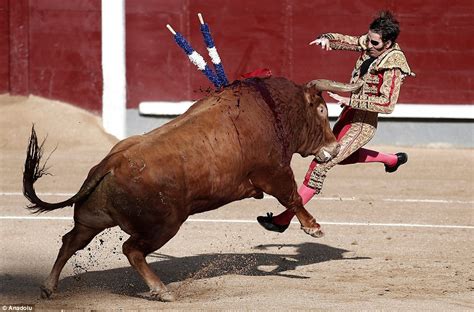 Pelican Diaries: SPANISH BULL FIGHTER WHO WAS BLINDED BY A BULL GETS TOSSED IN THE AIR AND ...