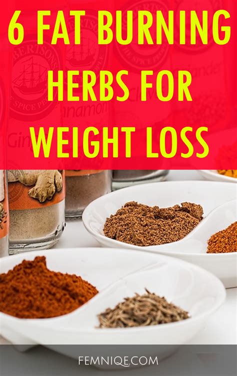 6 Fat Burning Natural Herbs For Weight Loss - Femniqe