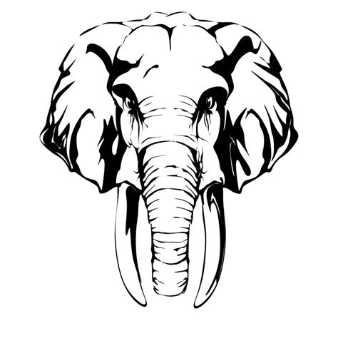 Elephant Head Drawing - ClipArt Best