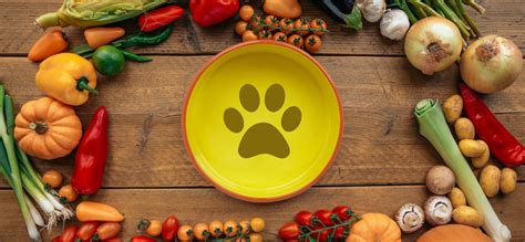 Vegan Dog Food (2024): Can Dogs Be Vegan and Stay Healthy? - mypetguru.com