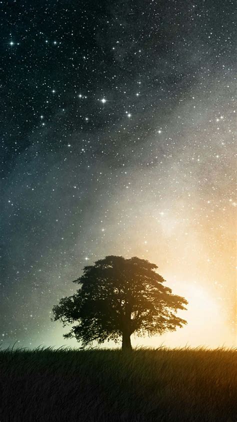 Download Tree Phone Starry Night Wallpaper | Wallpapers.com