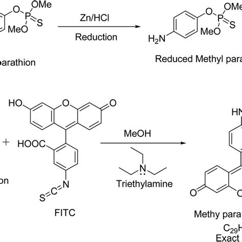 Synthesis of Methyl parathion Tracer and its mechanism | Download ...