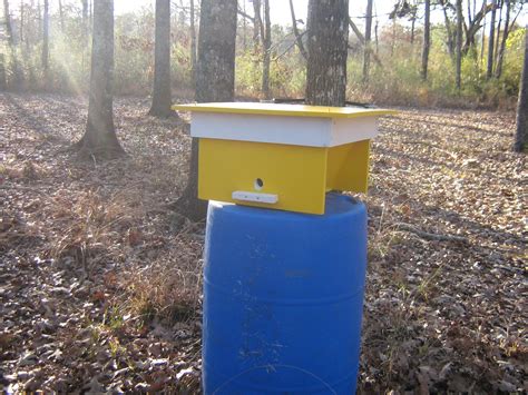 swarm traps | Beesource Beekeeping Forums