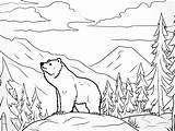 Serene Wilderness Coloring  Coloring Page sketch template