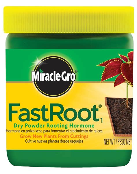 Miracle-Gro Fast Root Dry Powder Rooting Hormone Jar, 1-1/4-Ounce | eBay