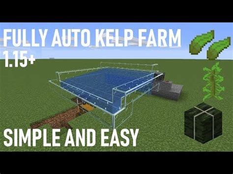 Aprender sobre 60+ imagem minecraft kelp farm - br.thptnganamst.edu.vn