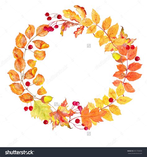 Autumn berries clipart 20 free Cliparts | Download images on Clipground ...