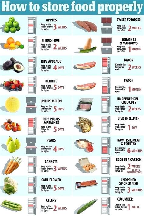 refrigerator food storage how to store food in the fridge diagram new 7 ...