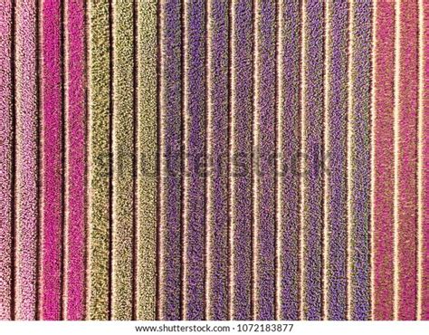 1,913 Tulip Field Drone Images, Stock Photos & Vectors | Shutterstock