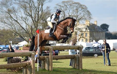 British Olympic horse returns to competition after injury (With images) | Olympic horses, Horses ...