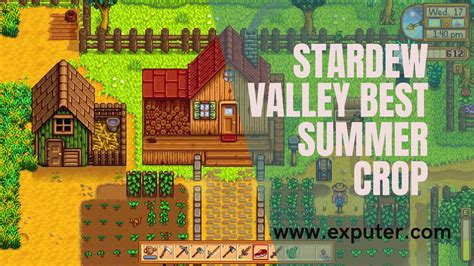 Stardew Valley: Best Summer Crops To Maximize Profit - eXputer.com