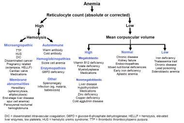 Anemia in Elderly Persons: Practice Essentials, Anemia Thresholds ...