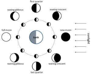 Phases of the Moon - Simple English Wikipedia, the free encyclopedia