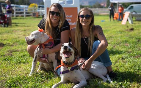 Strut Your Mutt returns to Best Friends Animal Sanctuary in Kanab - The Independent | News ...