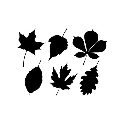 Free tree leaves silhouette set | Craft Ideas | Pinterest | Tree leaves, Silhouettes and Cricut