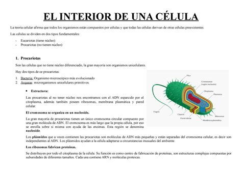 7. EL Interior DE LA Célula (BIO I) - EL INTERIOR DE UNA CÉLULA La ...