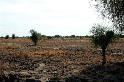 Addressing Climate Change Issues in South Sudan