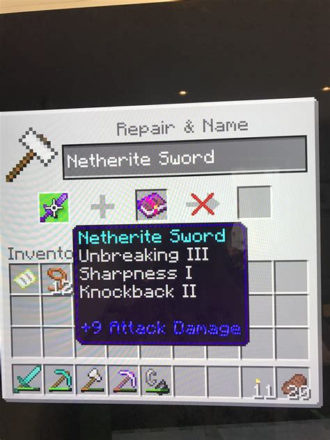 Why can’t I put bane of arthropods 1 on my enchanted netherite sword??? : r/Minecraft