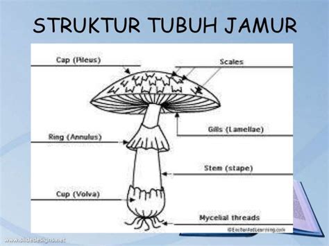 "Kamus Arti Kata dan Arti Nama Rebanas"