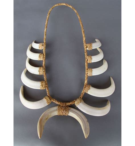 Wild Boar Tusk Necklace...