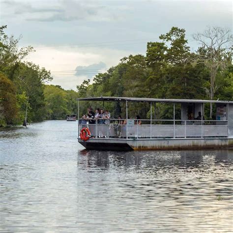 Jean Lafitte Swamp Tour with Optional Transportation - TripShock!