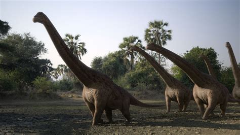 Rapetosaurus | Prehistoric Planet Wiki | Fandom