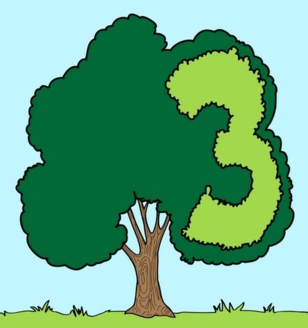 Learn the Number 3 = Tree