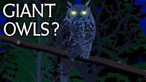 [New 2023 Cryptozoology Documentary] Giant Owls in Canada? - YouTube