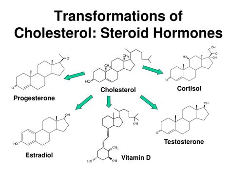 PPT - Cholesterol biosynthesis PowerPoint Presentation, free download - ID:4533803