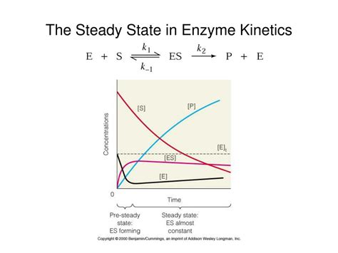 PPT - Enzyme Kinetics PowerPoint Presentation, free download - ID:3195326