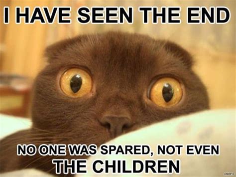 I have seen the END! - Animal Humor Photo (3998546) - Fanpop