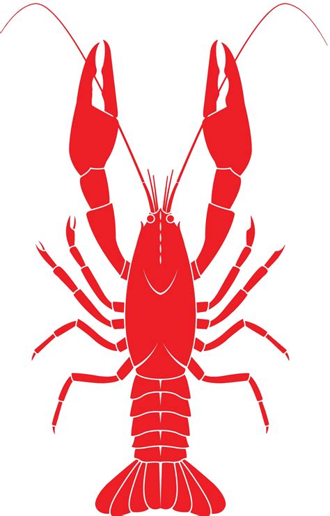 Download Lobster For Taiapure - Vector Crawfish Clip Art - Png Download (#3438808) - PinClipart