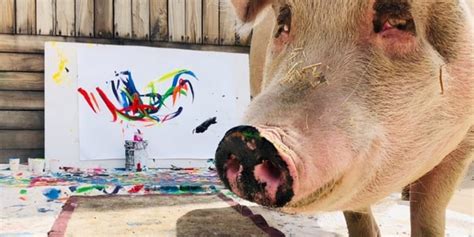 Pigcasso the Painting Pig | POPSUGAR Pets