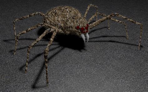 3D spider skeleton model - TurboSquid 1236535