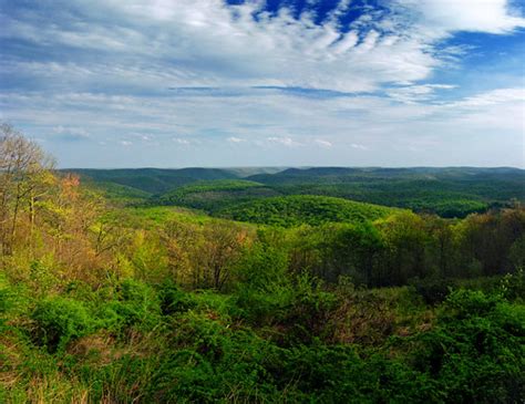 Cushioned | Cherry Springs Vista, Susquehannock State Forest… | Flickr